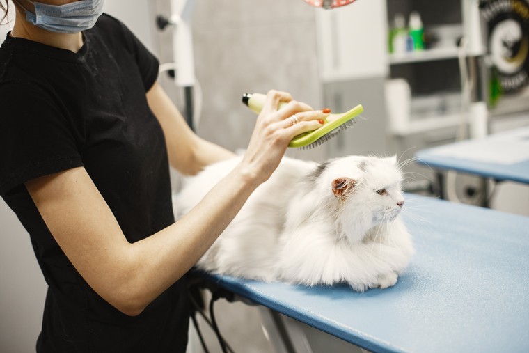 Grooming for pets